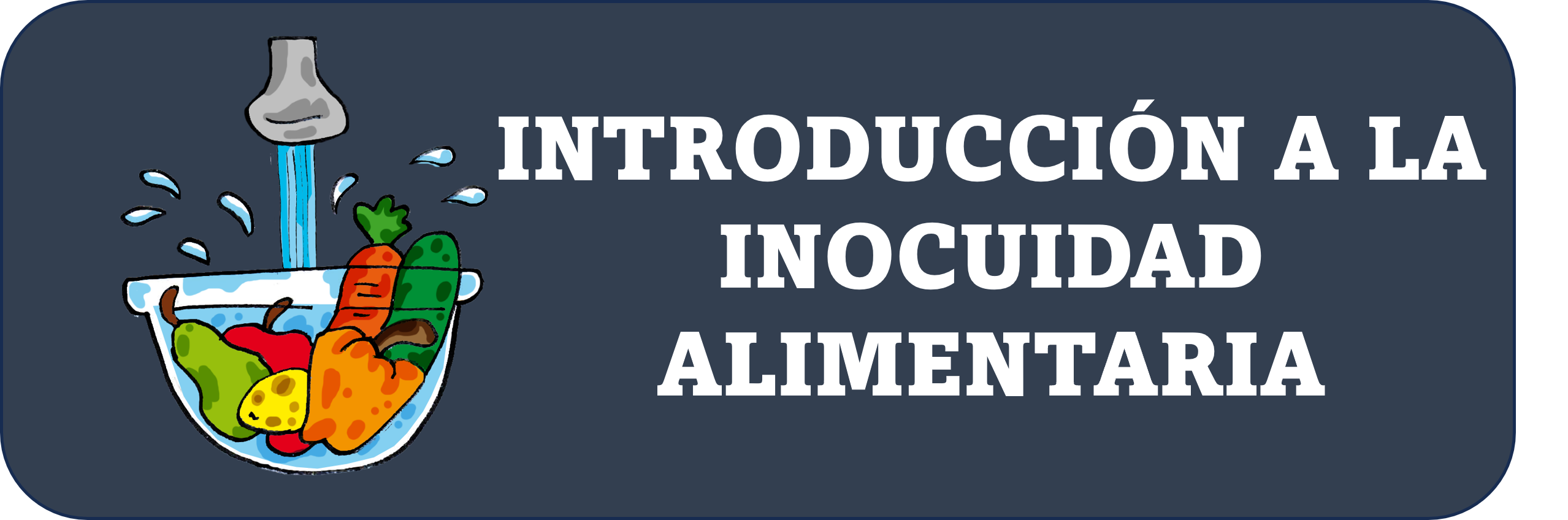 Introducción a la inocuidad alimentaria