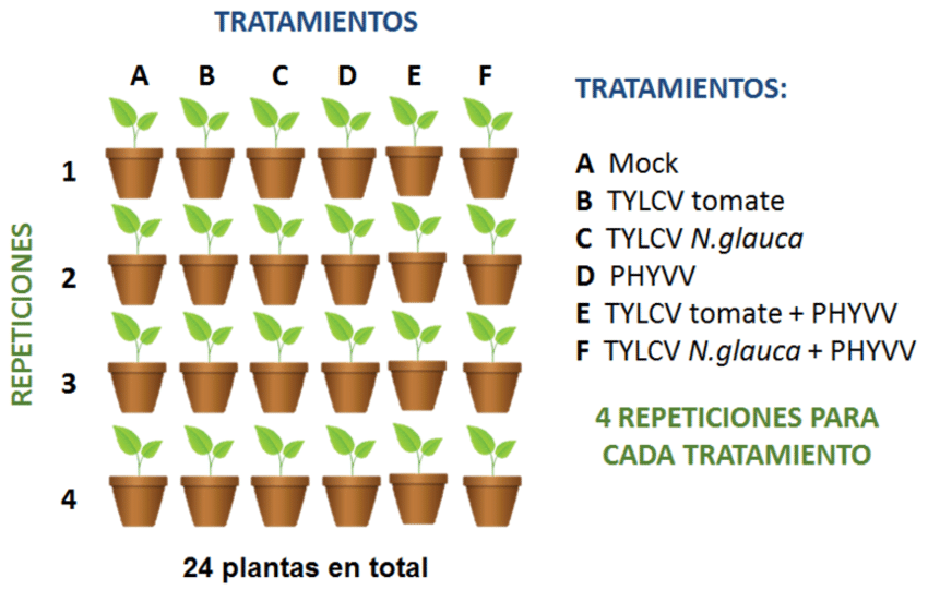 Diseños Experimentales