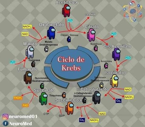 Bioquímica