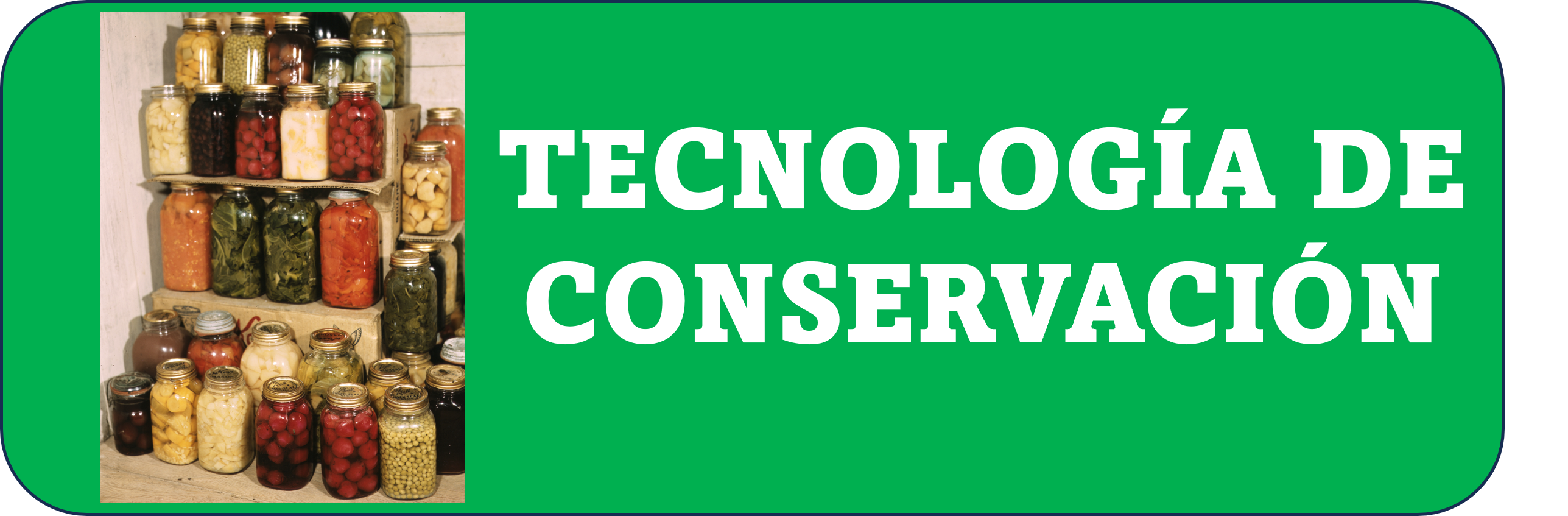 Tecnología de la Conservación